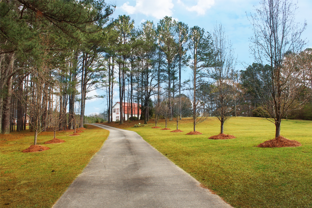 About Red Barn Real Estate